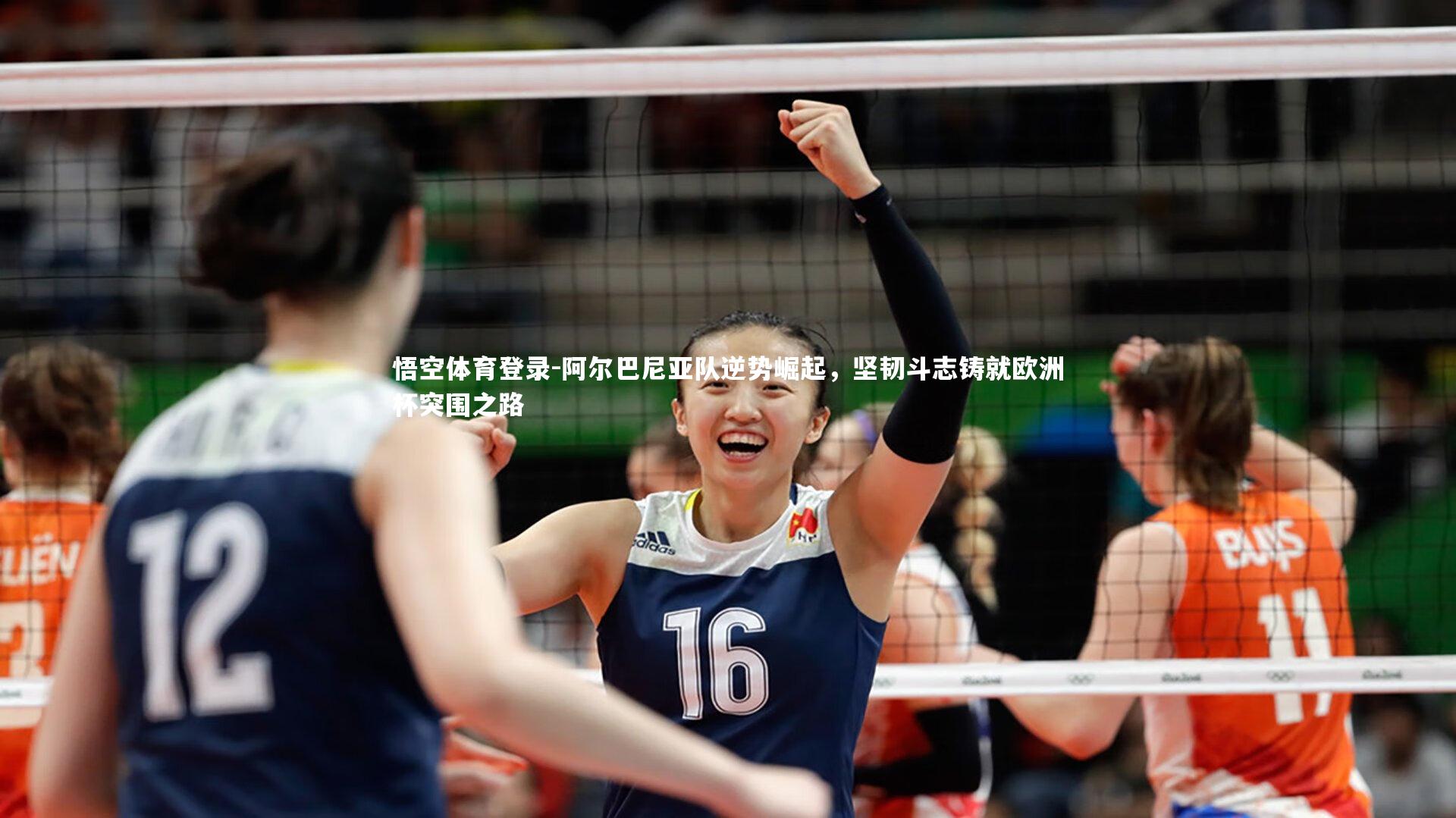 阿尔巴尼亚队逆势崛起，坚韧斗志铸就欧洲杯突围之路